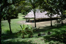 découverte de la nature en guyane avec un guide