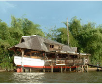 randonnée nature en forêt de guyane avec un guide naturaliste