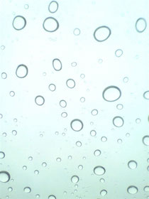 朝、愛車のフロントガラス越しに見た雨雫