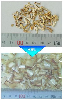 国産乾椎茸スライス2×10mm  