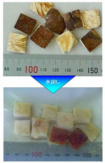 国産乾椎茸ダイス15mm 