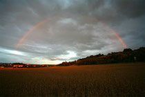 Regenbogen