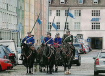 Kavallerimeisterschaft, Kavallerieverband, Rossfoto Dana Krimmling