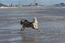 Aberavon beach