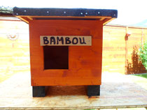 BAMBOU