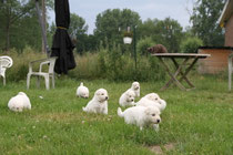 lopen gaat beter en beter