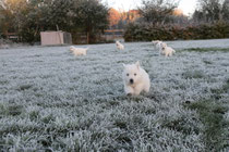 Brrrr koude pootjes :)