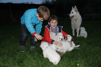 Milo & Quinten met de pupjes