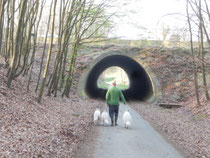 Tunnel tussen Everberg en Moorsel
