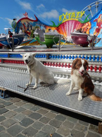 Met Kayenne & Troy naar de jaarmarkt/kermis in Leuven