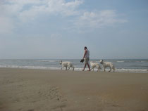 Bray-Dunes