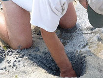 Gleich haben wir sie...