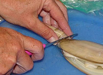 Hier kommt der Schlauch ab