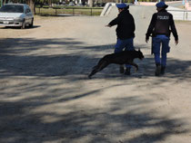 San Antonio de Areco - Argentina