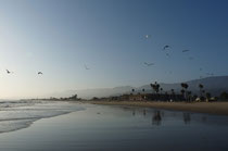 Carpinteria State Beach