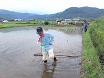 チェーン除草をしている理事長