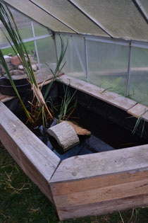 Haltung von Wasserschildkröten - Schildkrötenhilfe Oberfranken