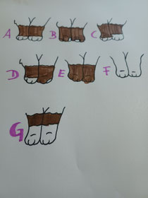 Die Handschuhe der Heiligen Birma
