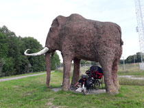 Tag 3: Picknick im Schatten des Mammuts