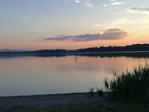 Simssee