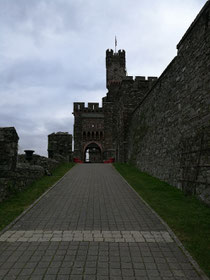 Burg Reichenstein 