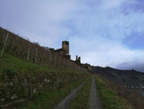 Burgruine Fürstenberg