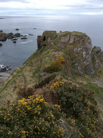 Findlater Castle 