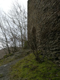 Burgruine Rauschenberg