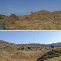 Fairy Glens