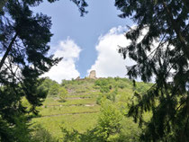 Burg Winneburg