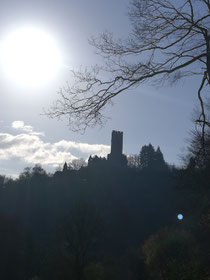 Burg Sauerburg 