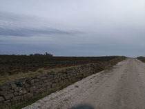 Slains Castle 