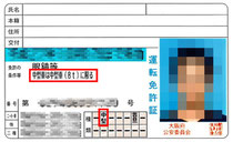 免許証の種類と条件を確認してください