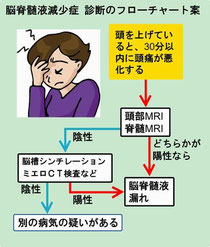 交通事故　脳脊髄液減少症　診断　フローチャート図