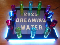 " 2025 Dreaming Water " (I° Version),2010, installazione,