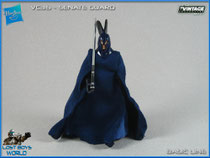 Senate Guard