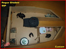 Rogue Shadow