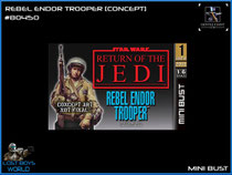 Rebel Endor Trooper