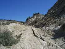 cea, calanchi,montalbano,basilicata, legambiente, escursioni, riserva, natura, geologia, educazione ambientale, fossili, redus, itinerari,territorio, economia, lucania