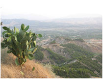 cea, calanchi,montalbano,basilicata, legambiente, escursioni, riserva, natura, geologia, educazione ambientale, fossili, redus, itinerari,territorio, economia, lucania