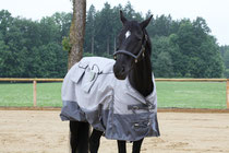 MAGmobil Horse Magnetfeldmatte