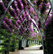 www.jardinerasisk.jimdo.com