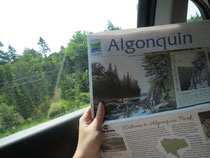 Die Informationszeitung von Algonquin Provincial Park