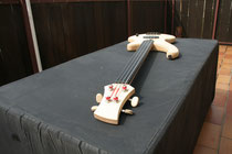 fretless & Semi Acoustic Bass