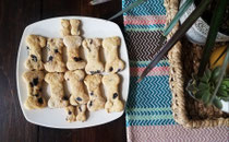 Probiotic Treats 