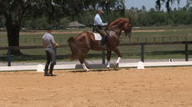 Reitlehrgang in Ocala, Florida