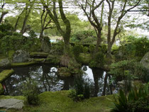 「慈光院」の庭