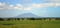 Rice Fields in Bulacan, Mt. Arayat in Pampanga