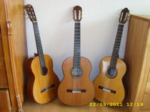 3 von 5 Gitarren