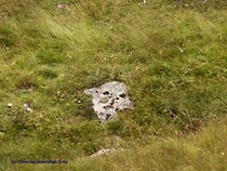 Landschaftshüter